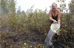 Ukraine thay thế khí đốt Nga bằng nhiên liệu than bùn